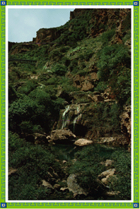 PAYSAGE PAYSAGE