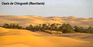 desert2 desert2